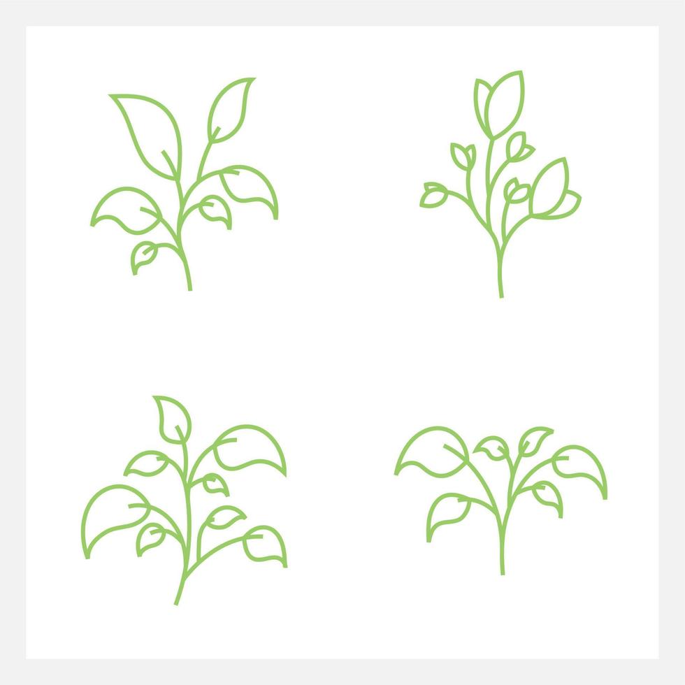 Hand drawn Set of leaf line art vector