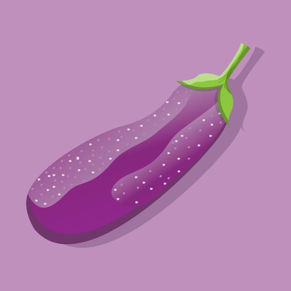 purple eggplant on a purple background vector