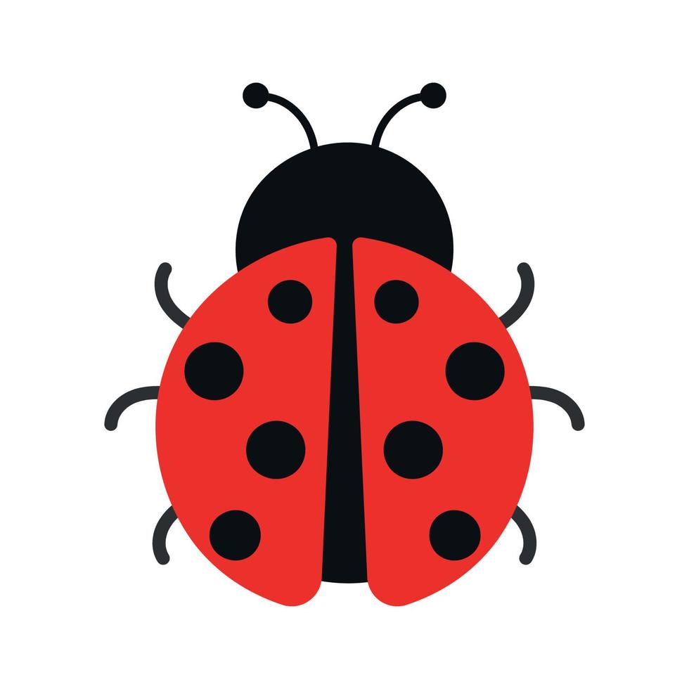Cute Ladybug Insect Animal Animated Vector Illustration