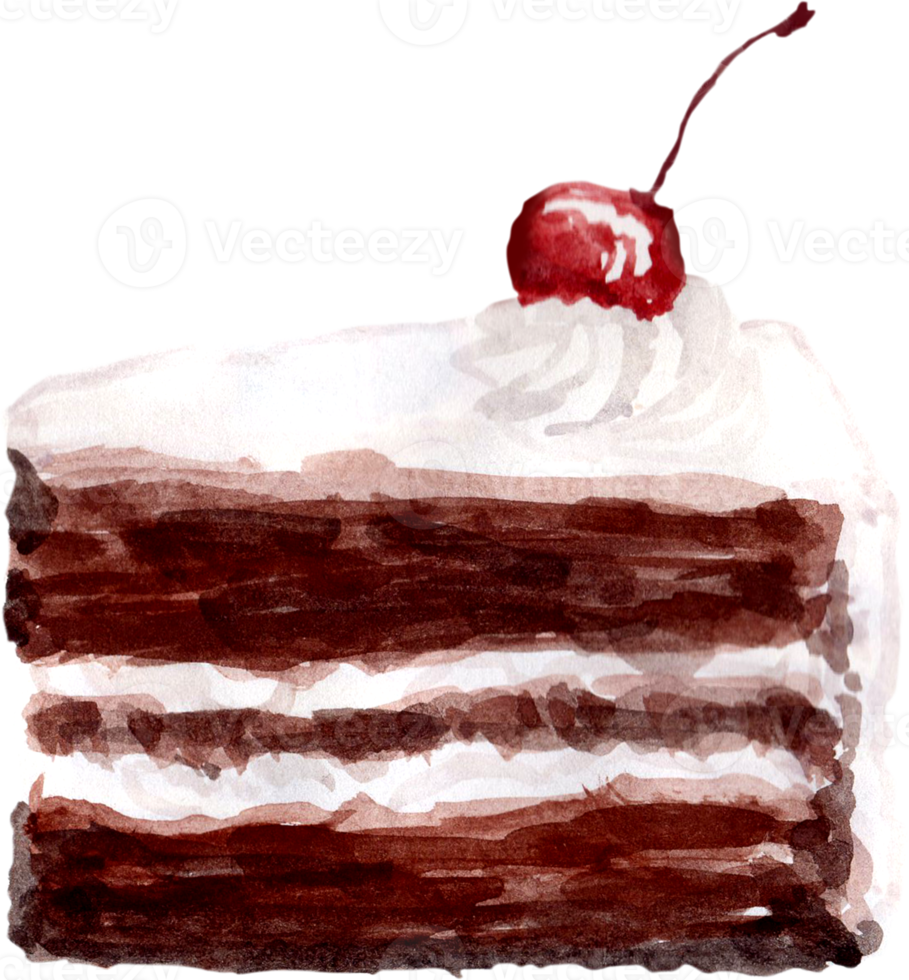 watercolor cake and pastry png