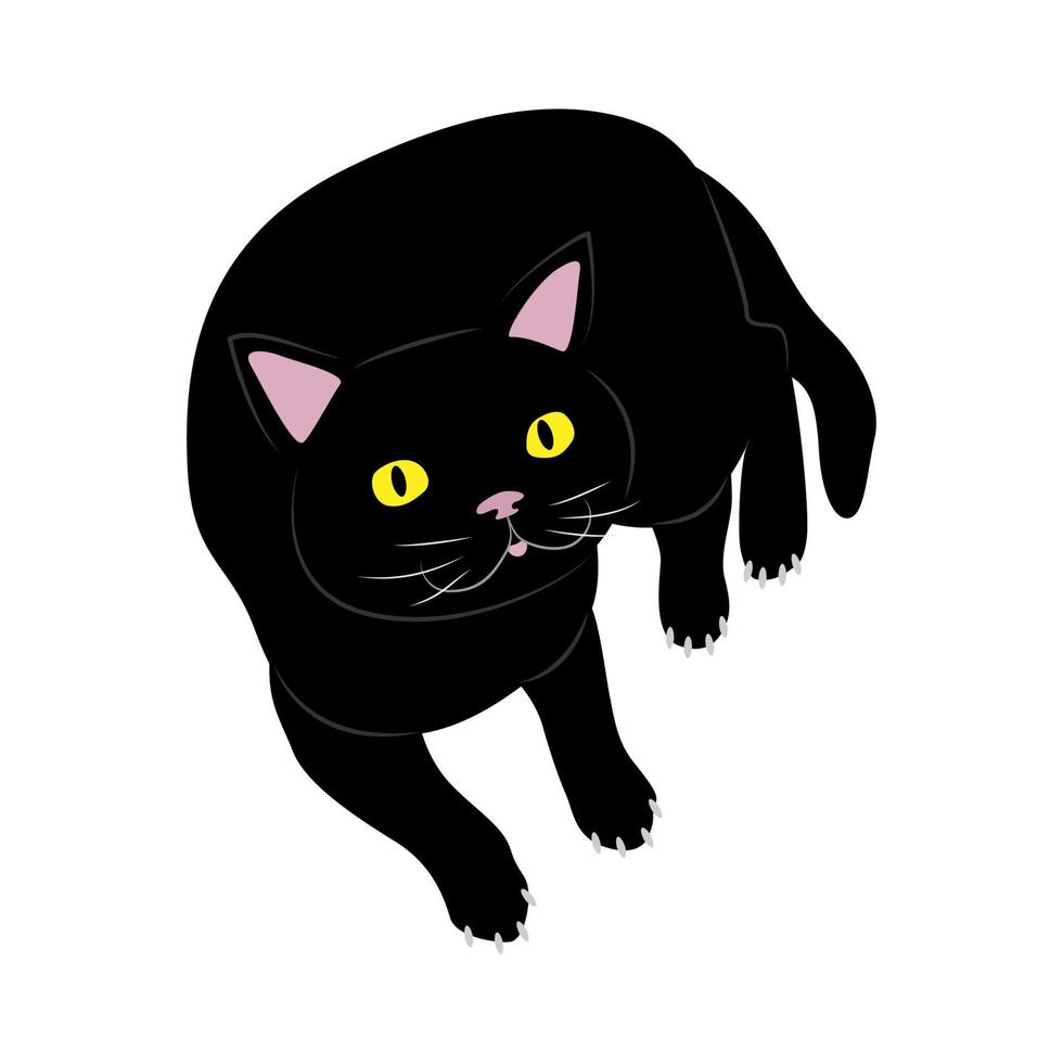 Black cat lies down and looks up. vector illustration