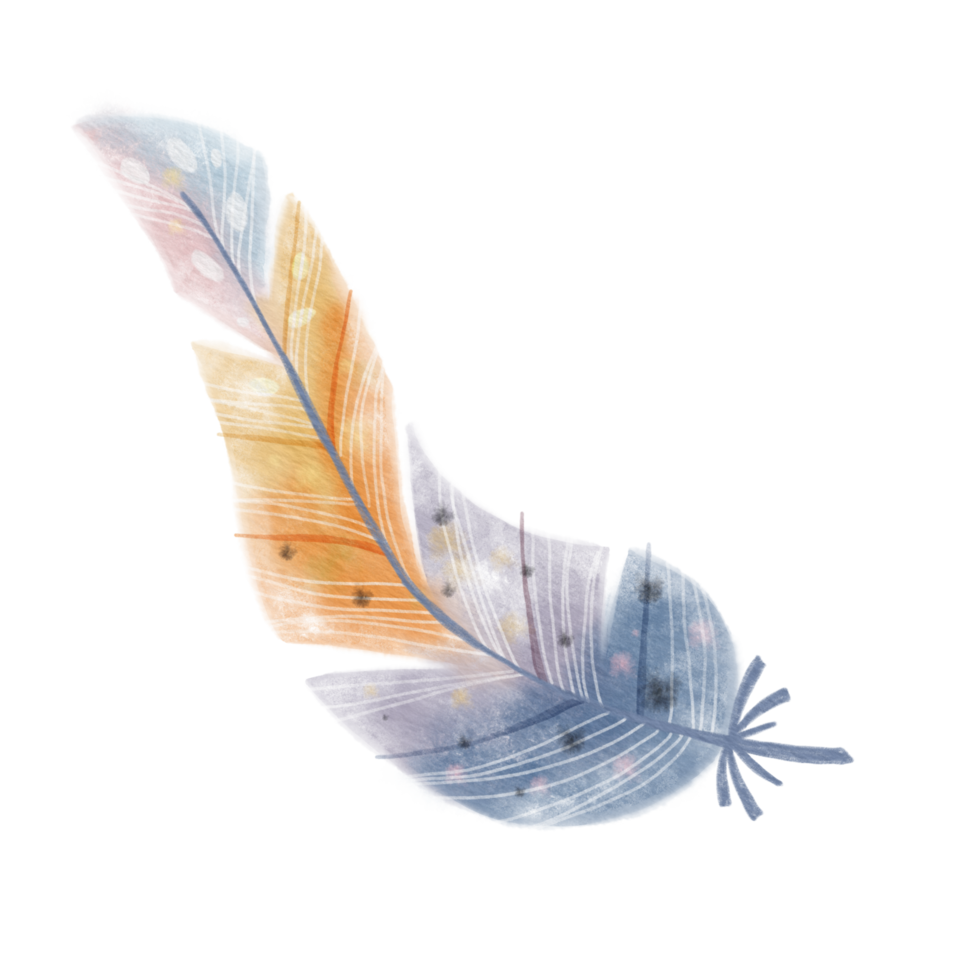 Sweet Feather with paper texture. Raster png transparent illustration digital paint for decorate and any design.