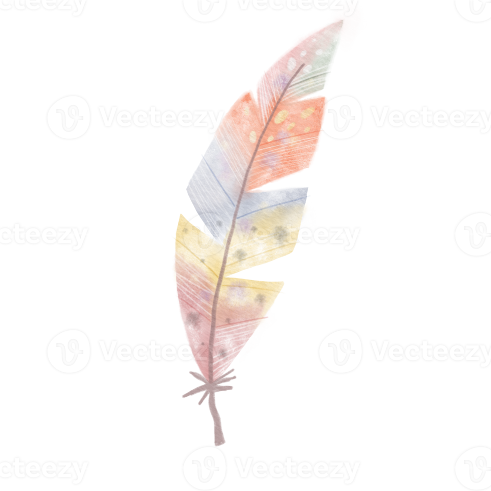 Sweet Feather with paper texture. Raster png transparent illustration digital paint for decorate and any design.