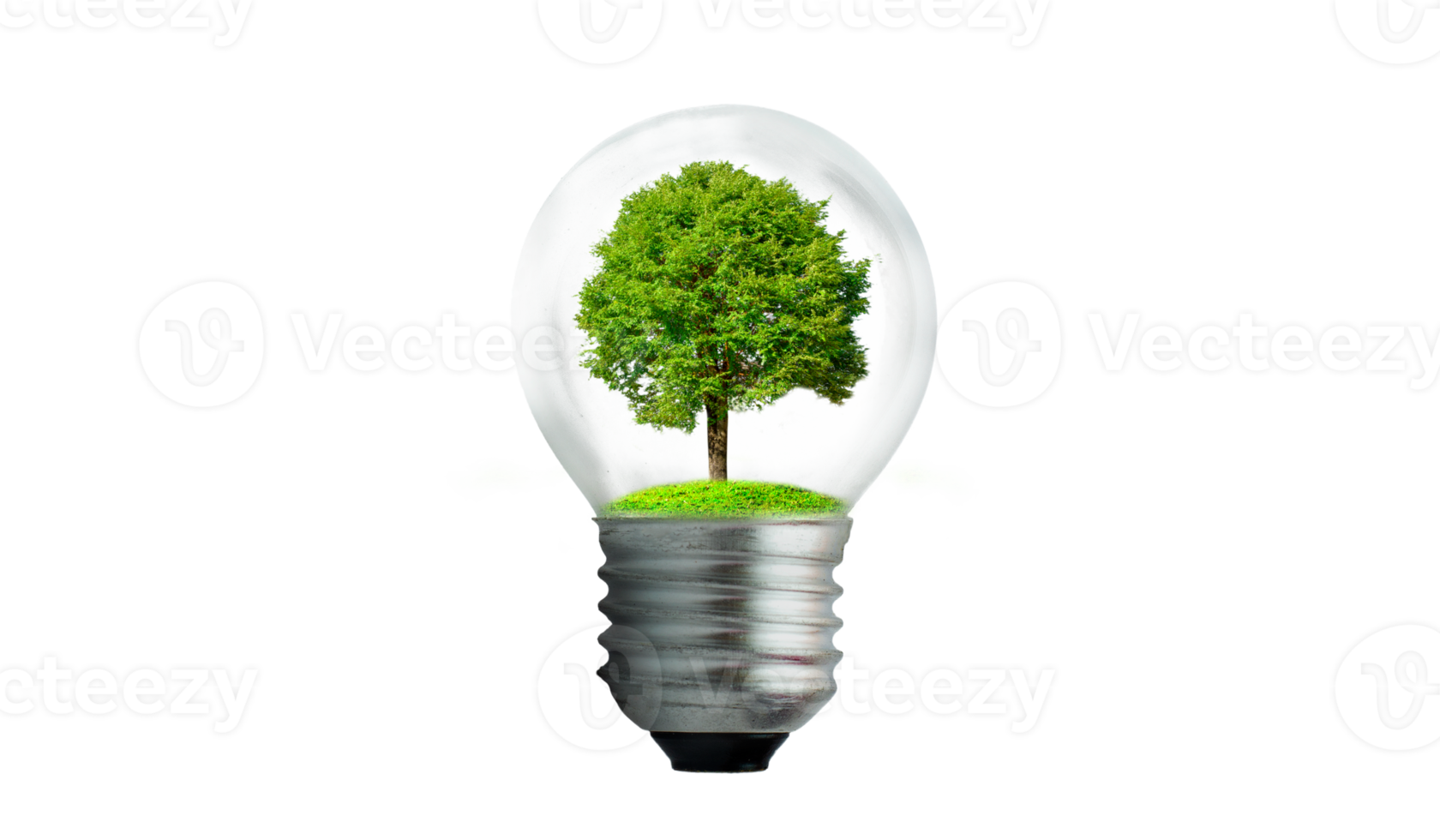 Free The is located on the inside with forest and trees are in the light. Concepts of environmental conservation and global warming plant growing inside lamp bulb over dry