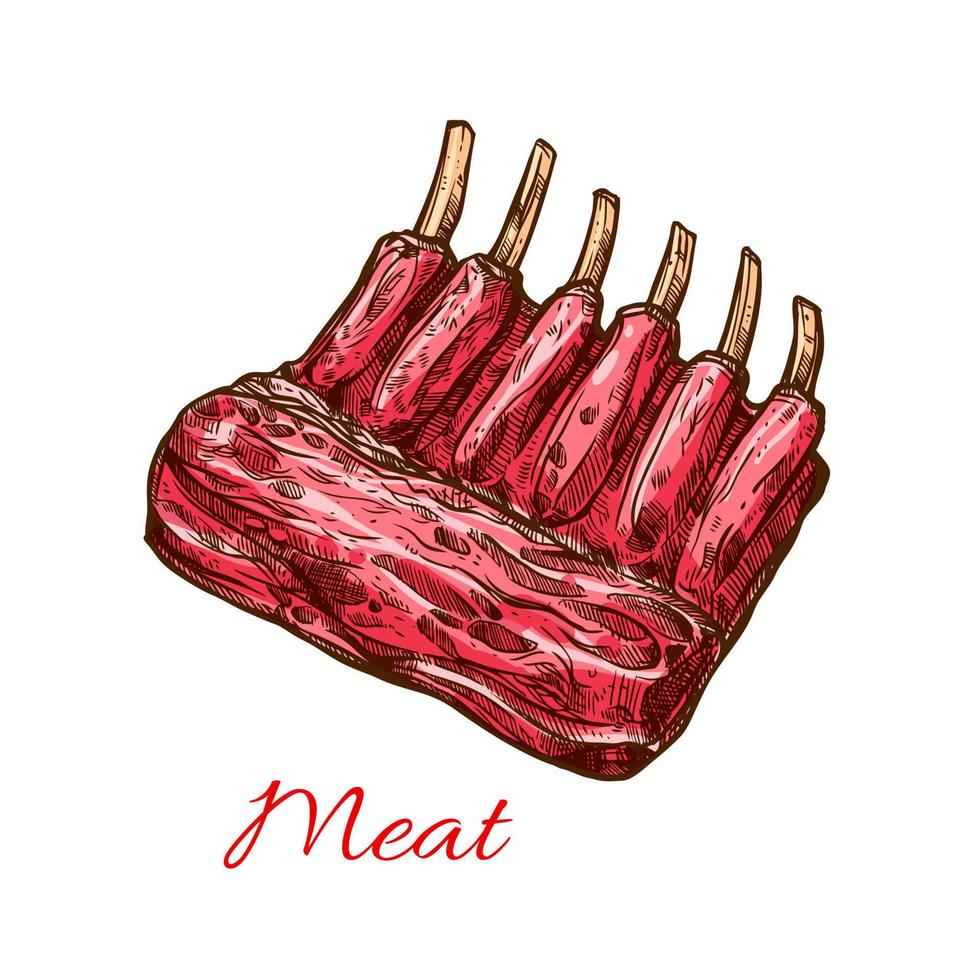 Meat ribs of pork, beef or lamb isolated sketch vector