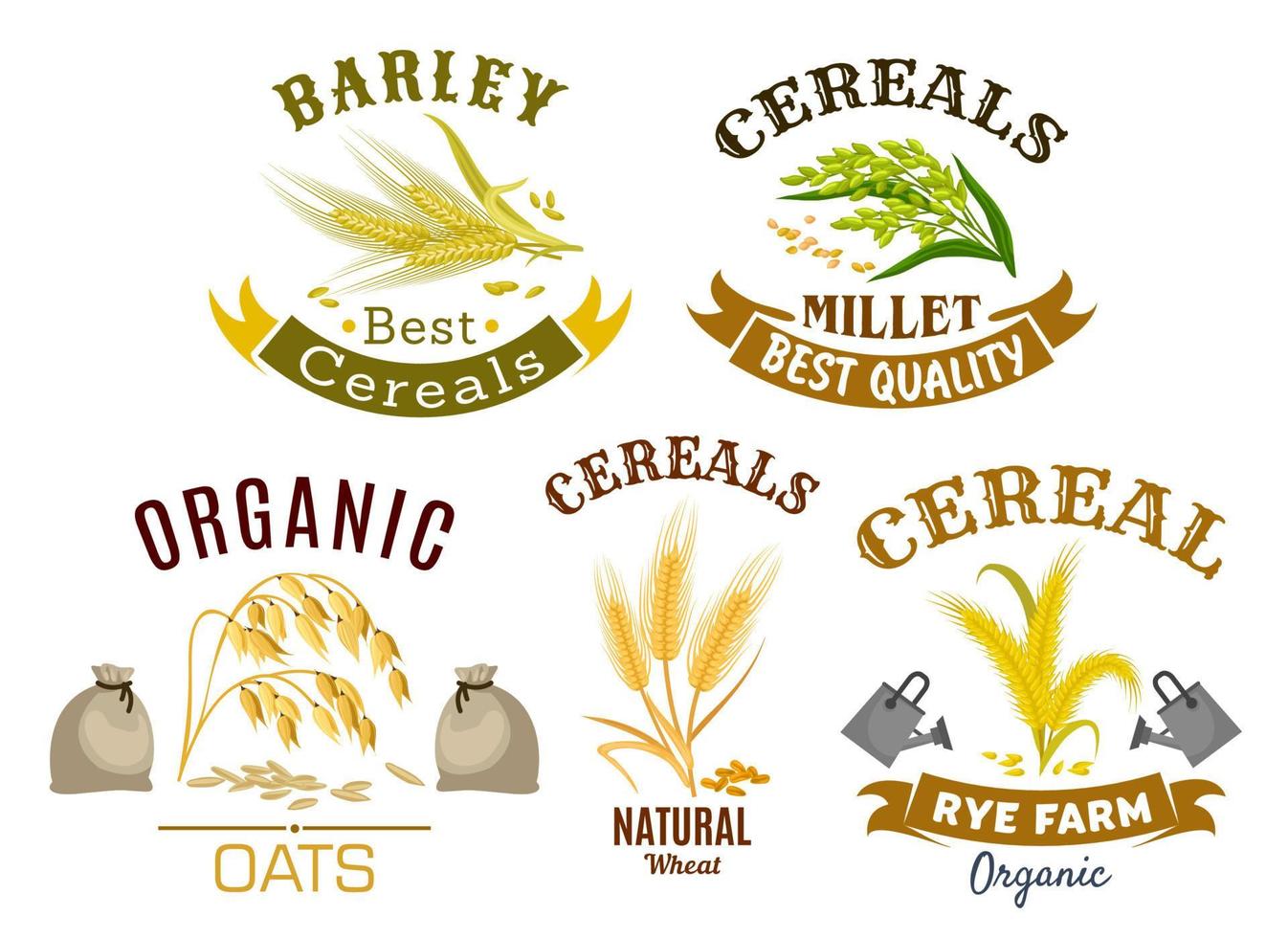 Cereal icon set with wheat, rye, oat and millet vector
