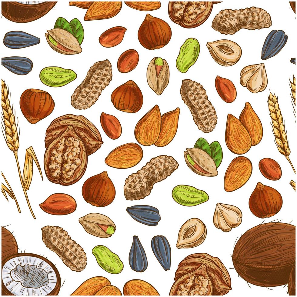 Nut, bean, seed and wheat seamless pattern vector