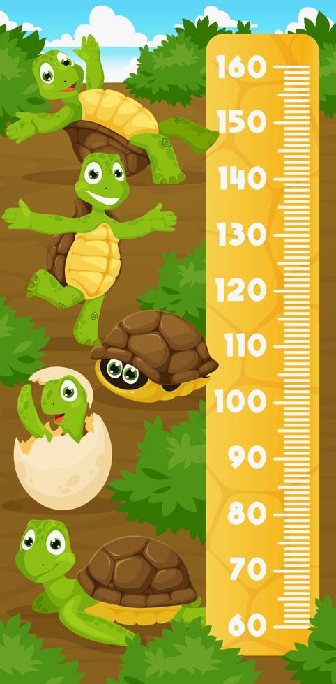 Kids height chart ruler with cartoon turtles vector