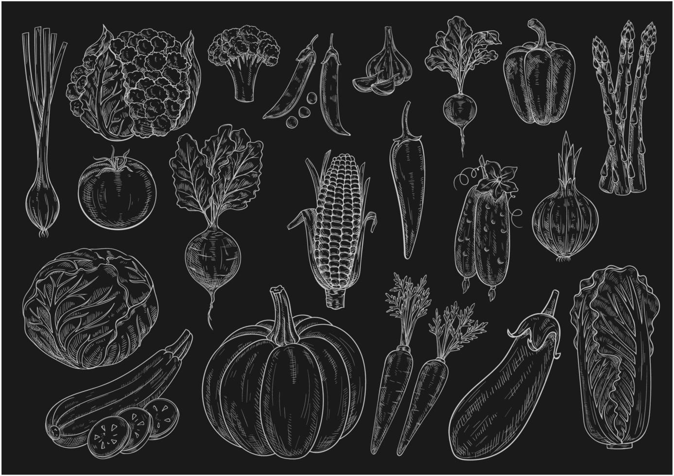conjunto de iconos aislados de boceto de tiza de vector de verduras