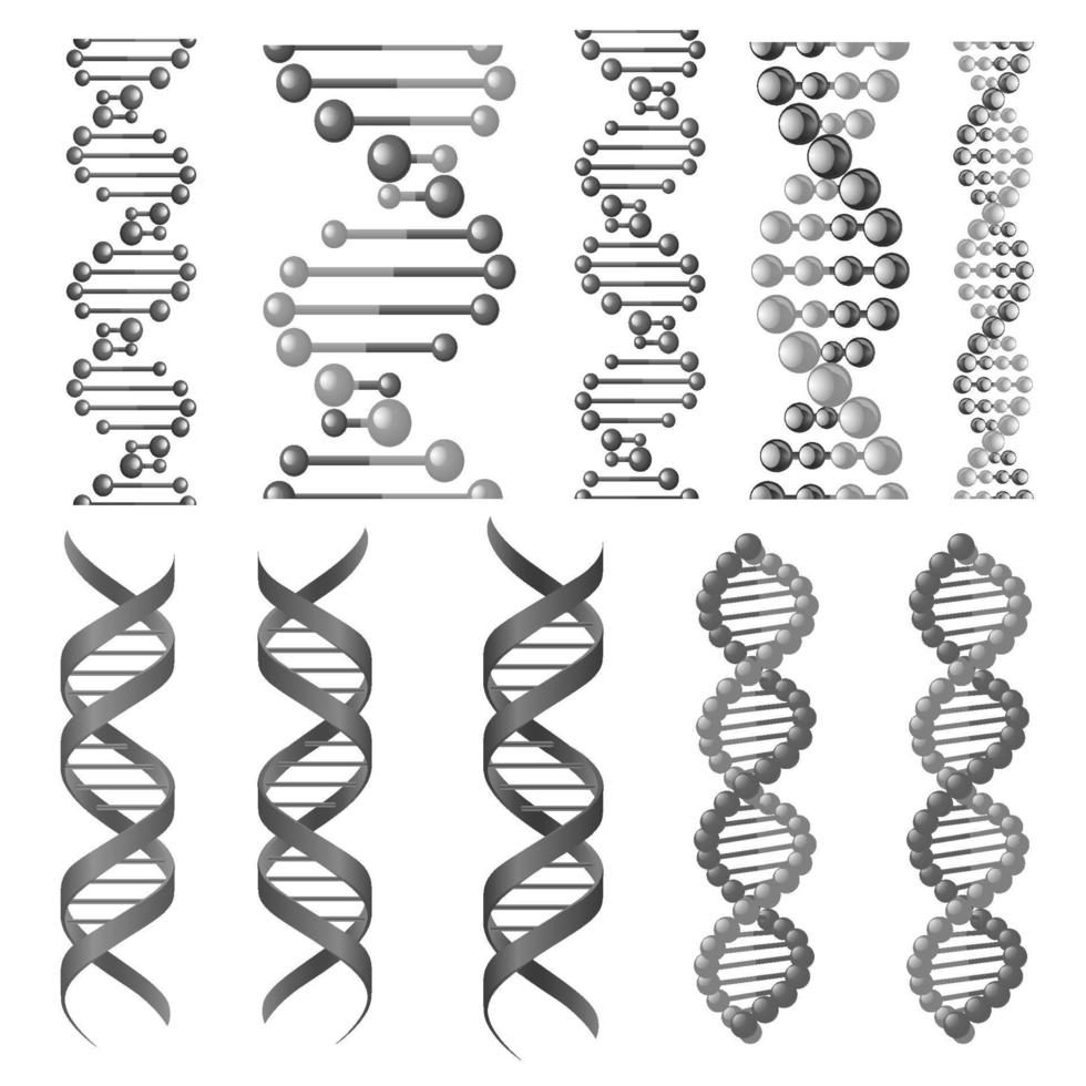 Vector symbols of dna helix or molecular chain