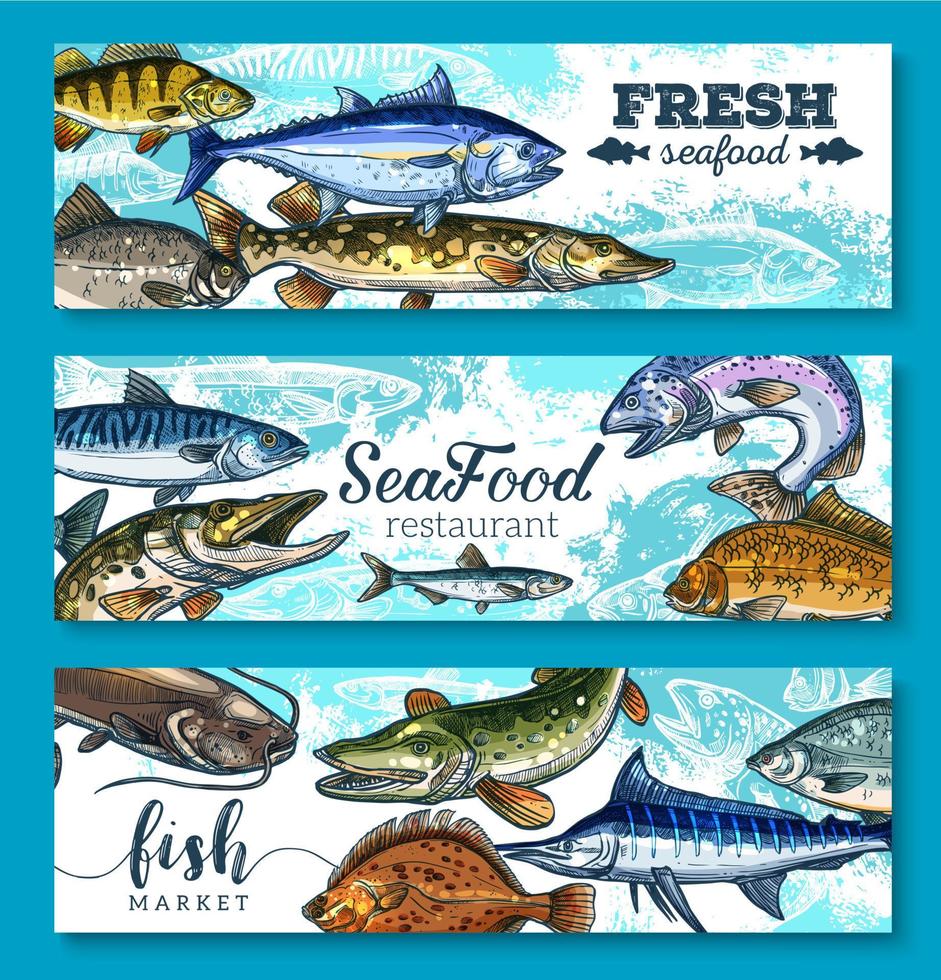 conjunto de banners de pescado y marisco fresco de vector