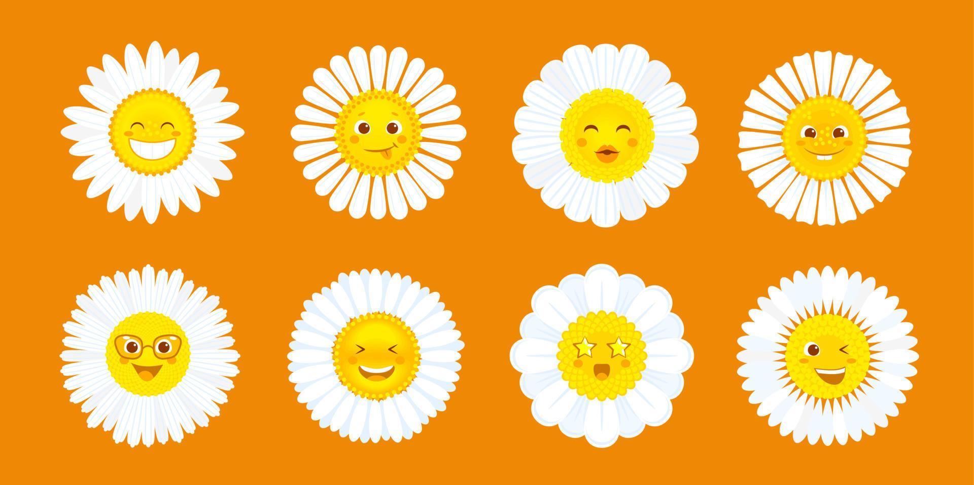 Cartoon cute camomiles or daisy flowers characters vector