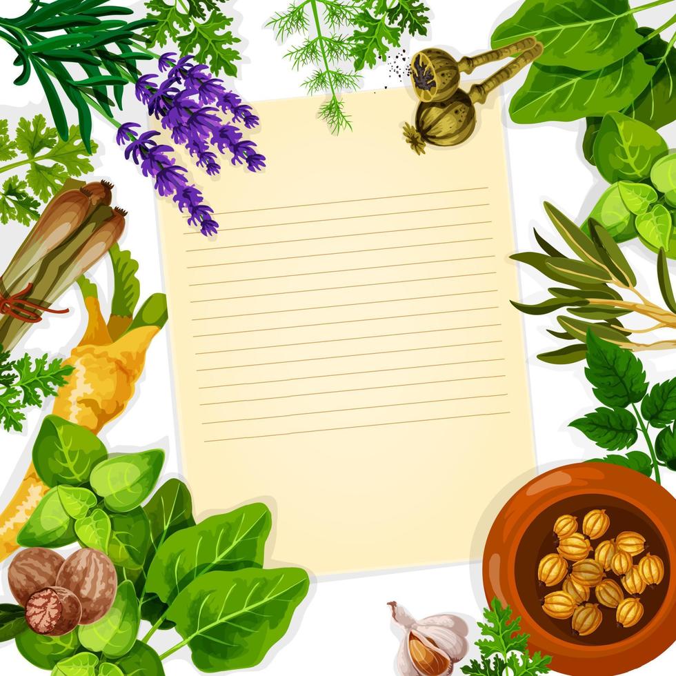 papel de recetas con hierbas, especias y verduras de hoja vector