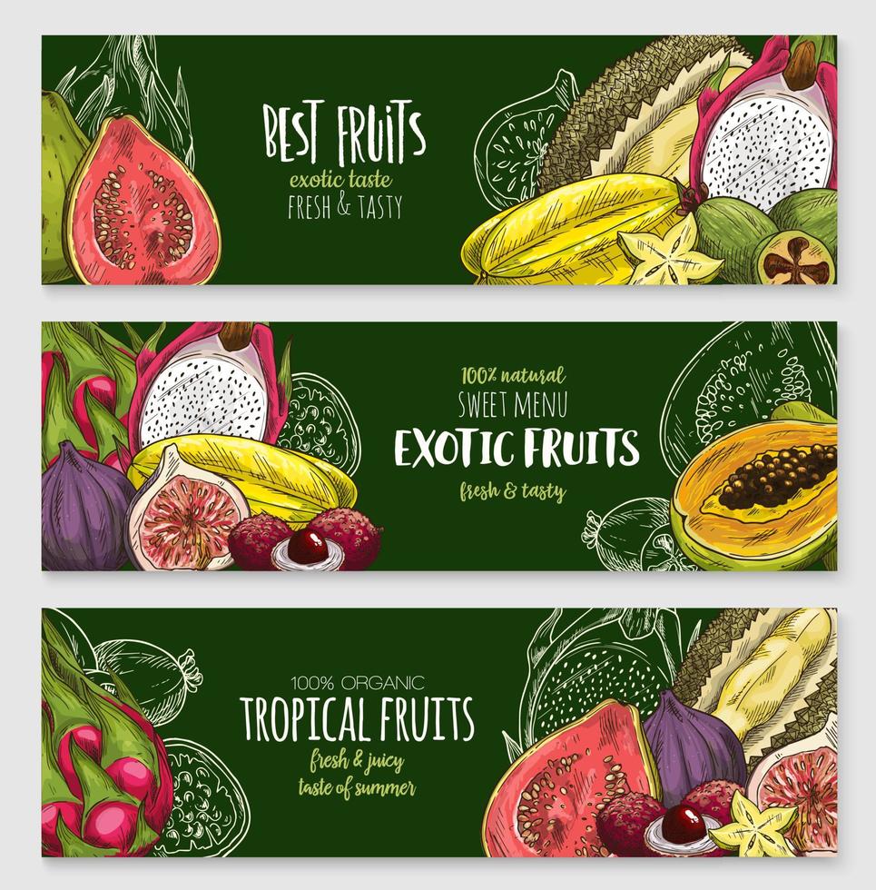 conjunto de banner de pizarra de frutas tropicales exóticas vector