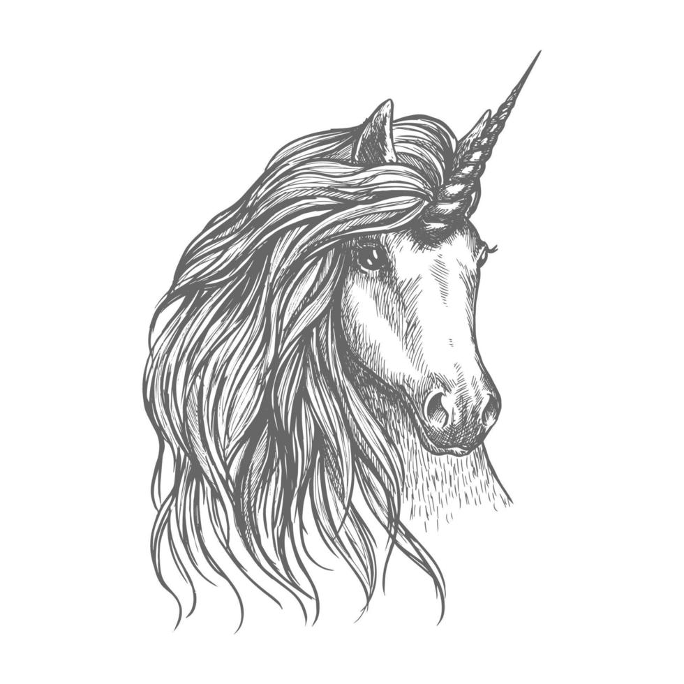 Unicorn fantastic horse sketch for tattoo design vector