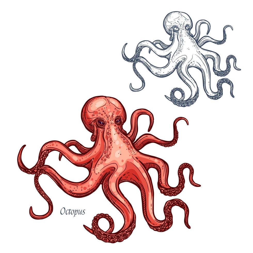 icono de esbozo aislado de vector de pulpo