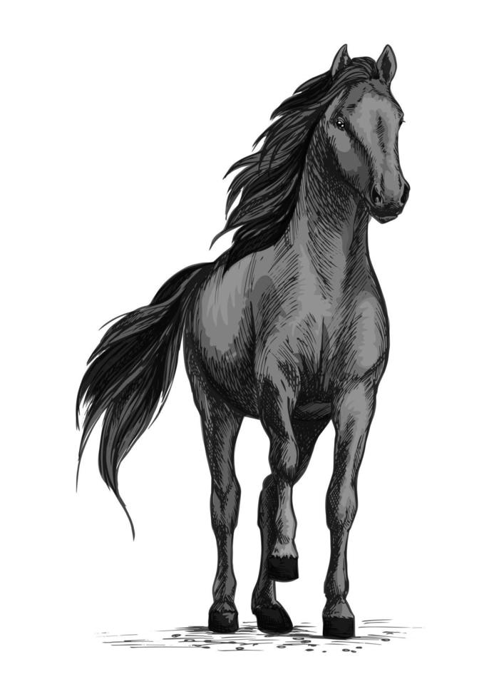 Horse mustang stomping hoof vector sketch