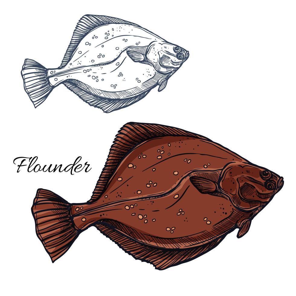 Flounder fish, ocean flatfish isolated sketch vector