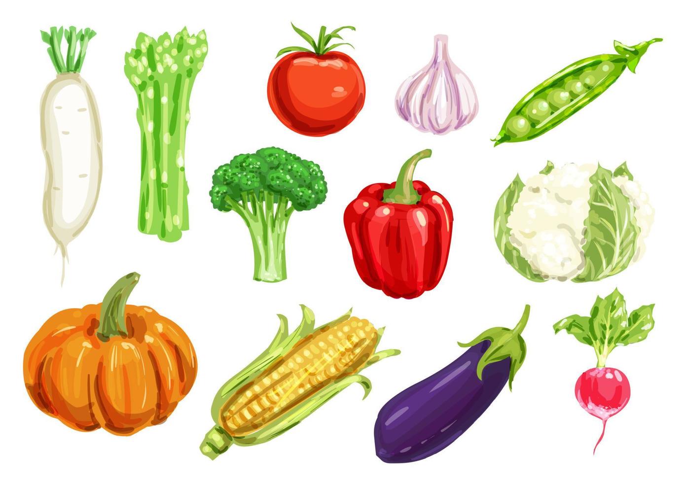 Fresh vegetable watercolor drawing set vector