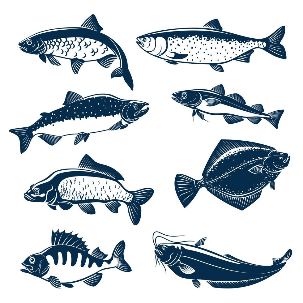 Sea and river fishes vector isolated icons