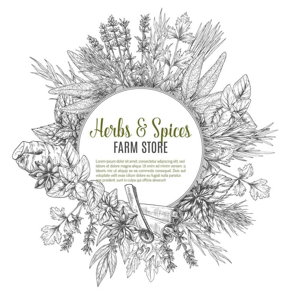 Herbs and spices sketch vector poster