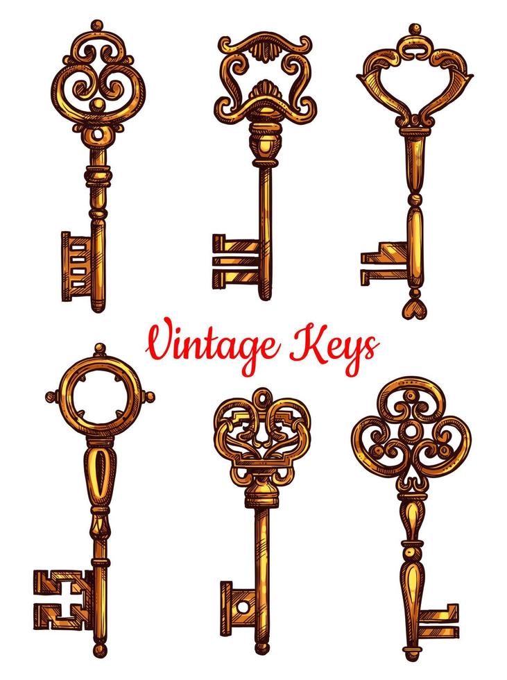 Vintage key and skeleton isolated sketch set vector