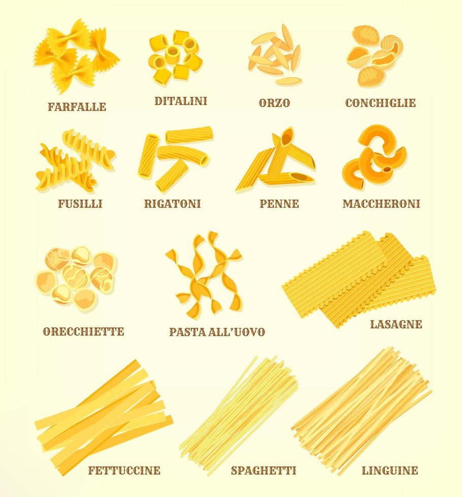 tipos de pasta italiana o tipos de iconos vectoriales vector