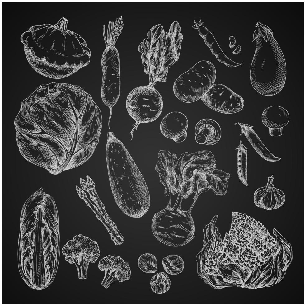 Vegetable, bean and mushroom sketch on chalkboard vector