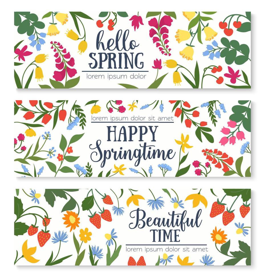 Spring floral banner with flower and berry frame vector