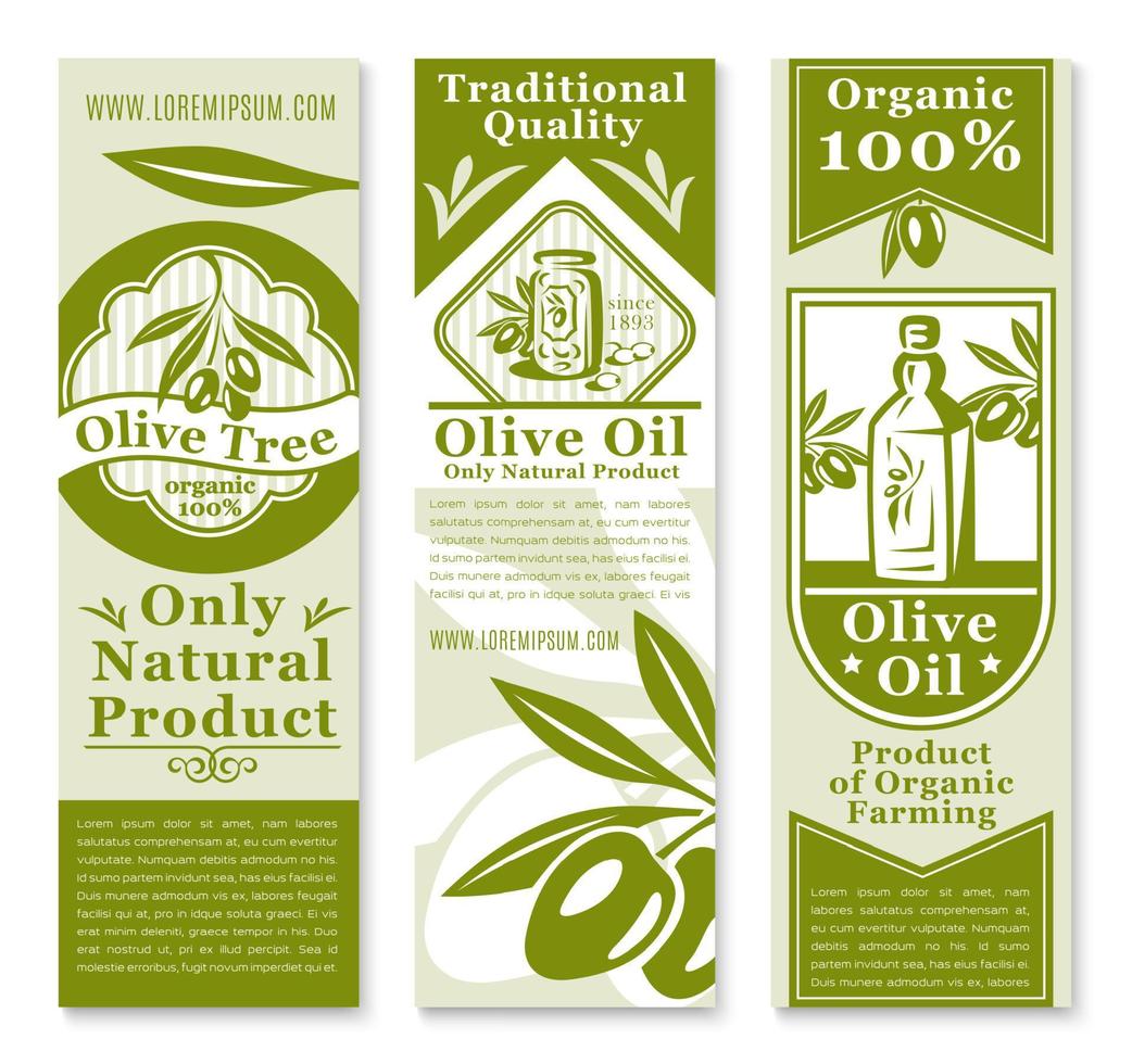 banner de aceite de oliva con fruta verde y rama vector