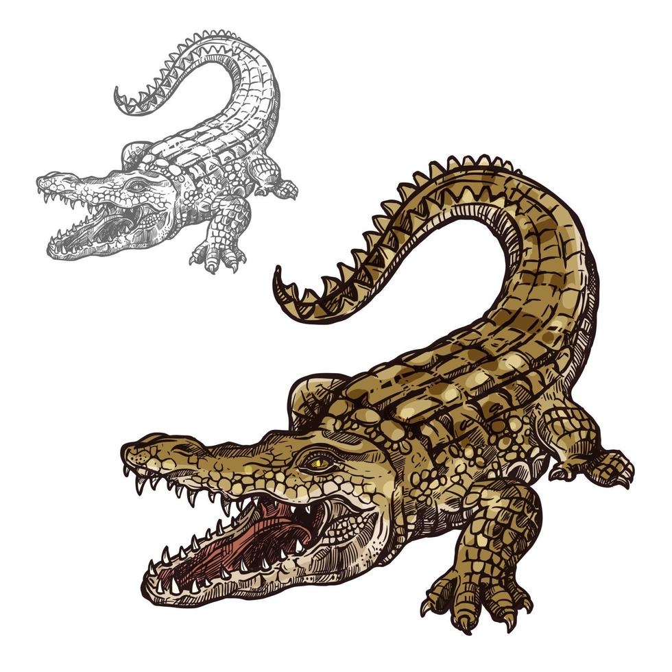 cocodrilo caimán vector icono de esbozo aislado