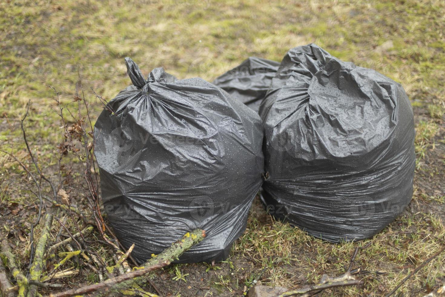 https://static.vecteezy.com/system/resources/previews/012/684/181/non_2x/bags-of-garbage-on-street-black-bags-cleaning-in-yard-photo.jpg