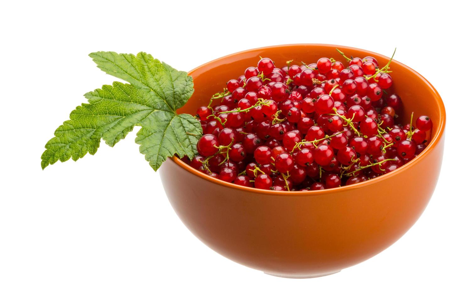 Red currant in a bowl on white background photo