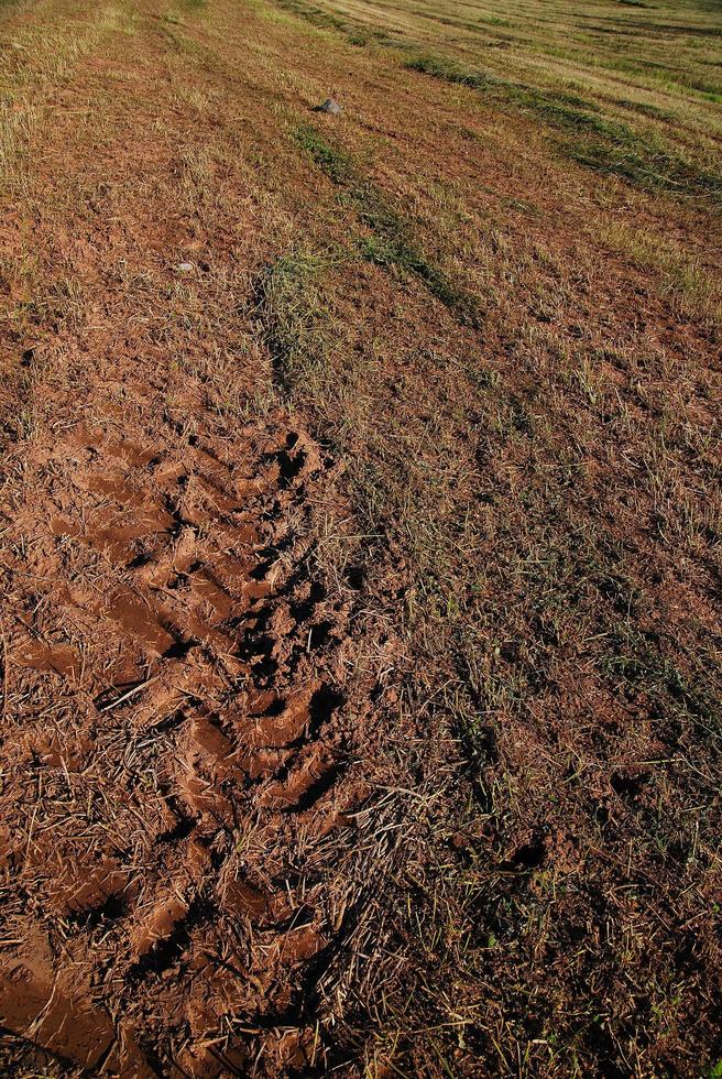 tractor trail on ground photo