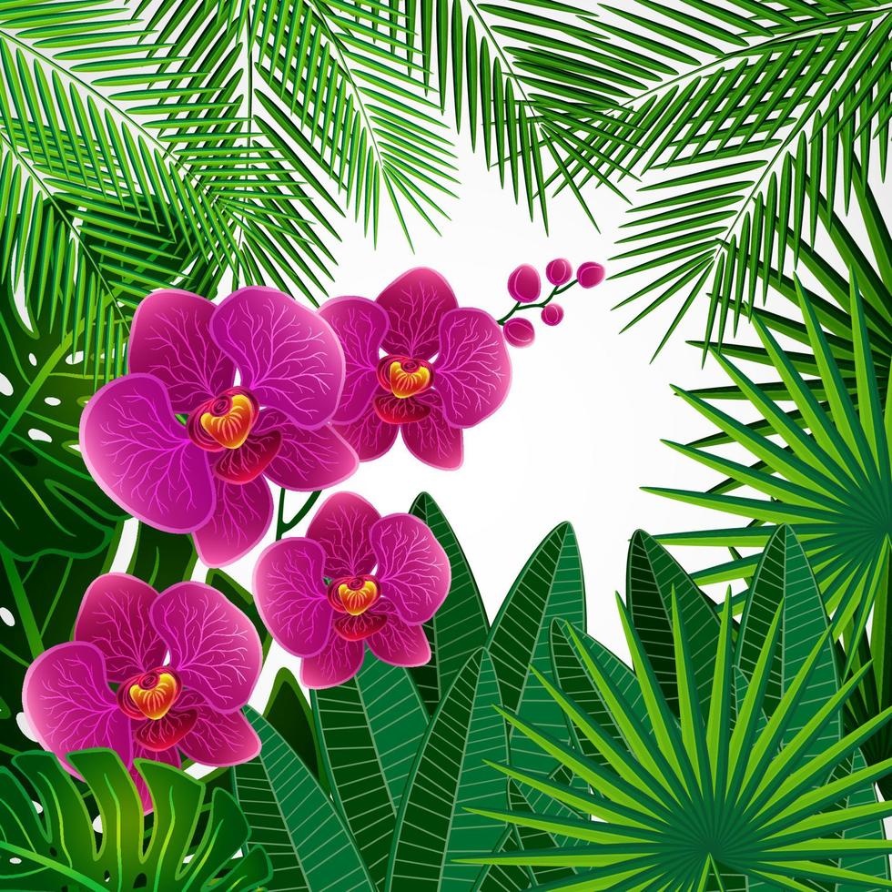 fondo de diseño floral. flores de orquídeas vector