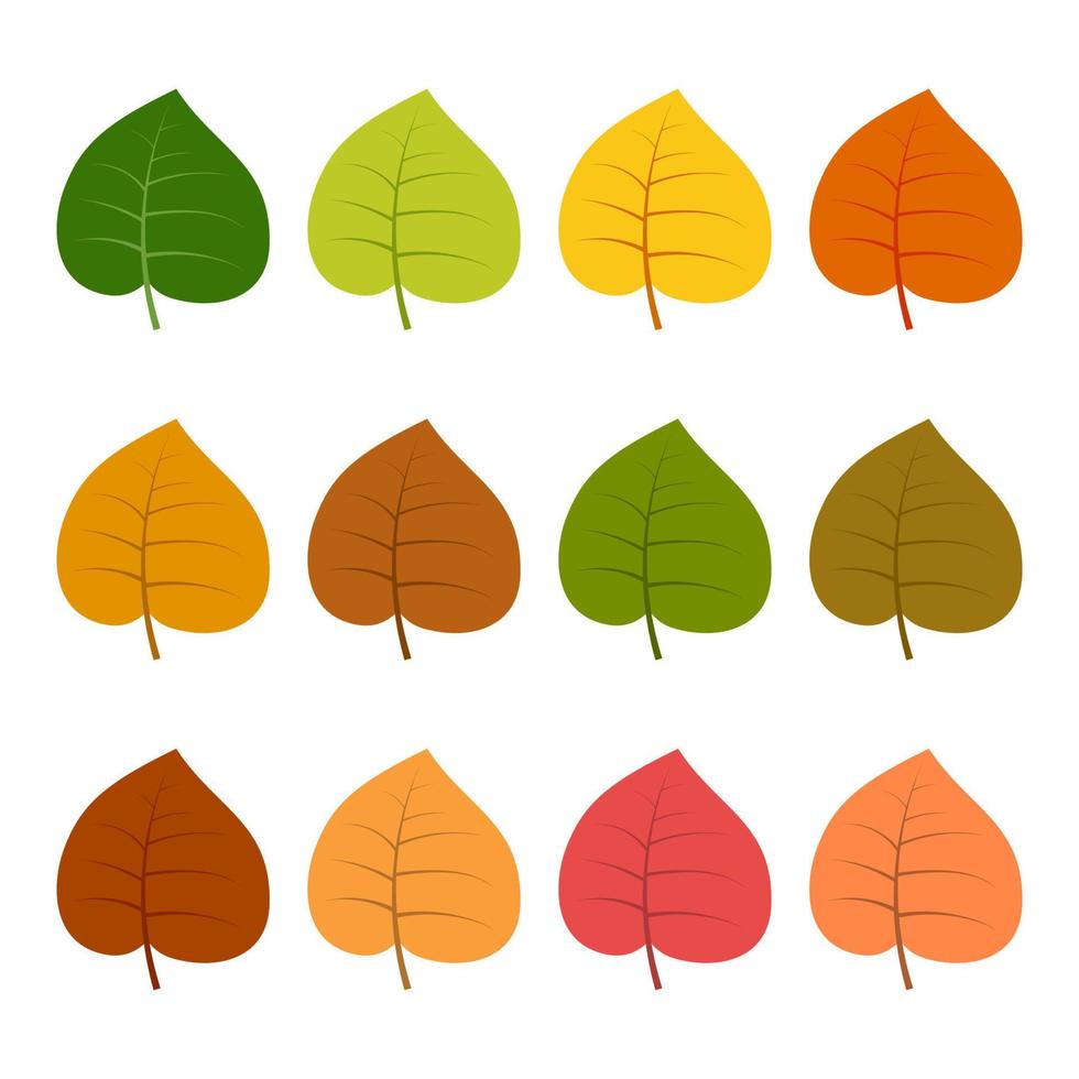 Set of twelve autumn leaves in different autumn colors. Vector illustration.