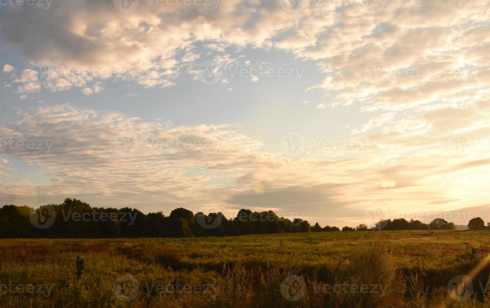 Serene View of Field With Thick Clouds Above It photo