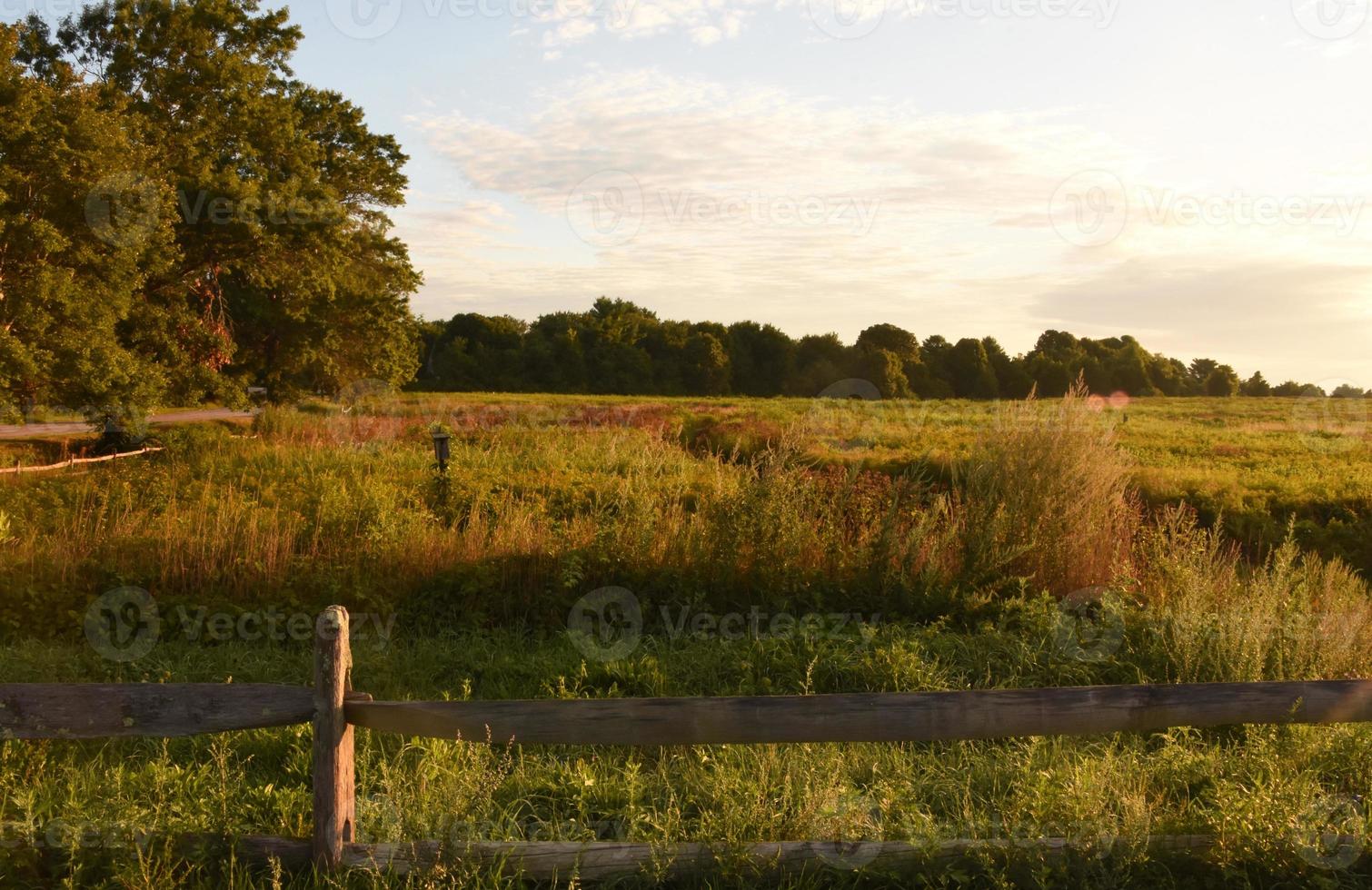 Fenced Field in Early Morning Hours in the Summer photo
