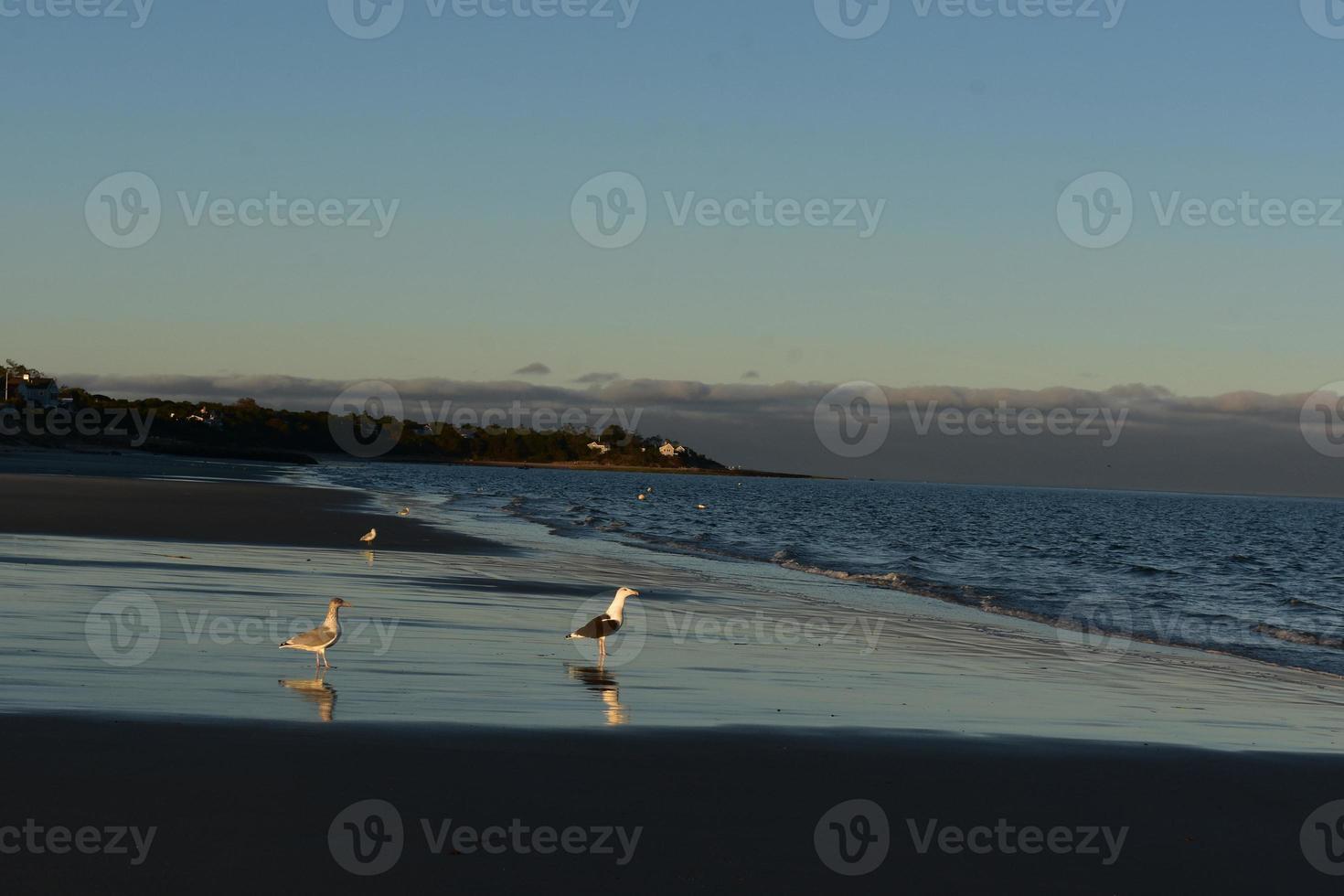 Beautiful beach on the coast of cape cod during sunset photo