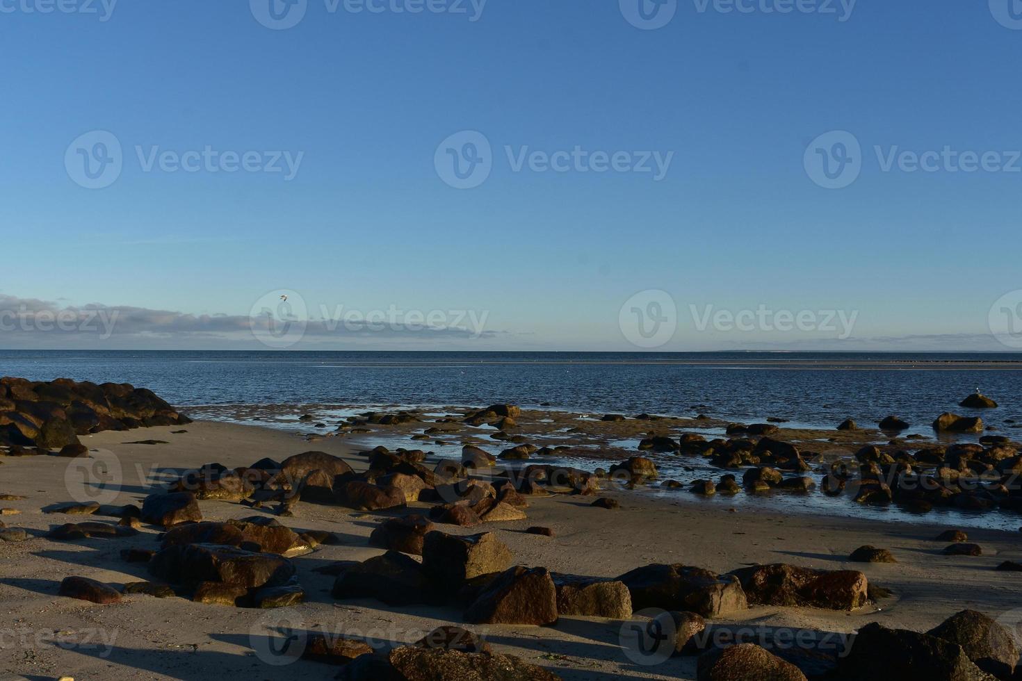 Vast open ocean with large brown rocks on the shore photo