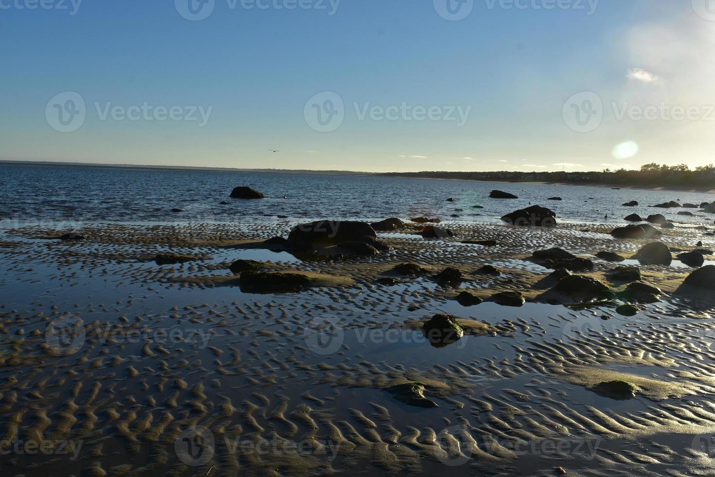 Cool sand ripples caused by the wind and water photo