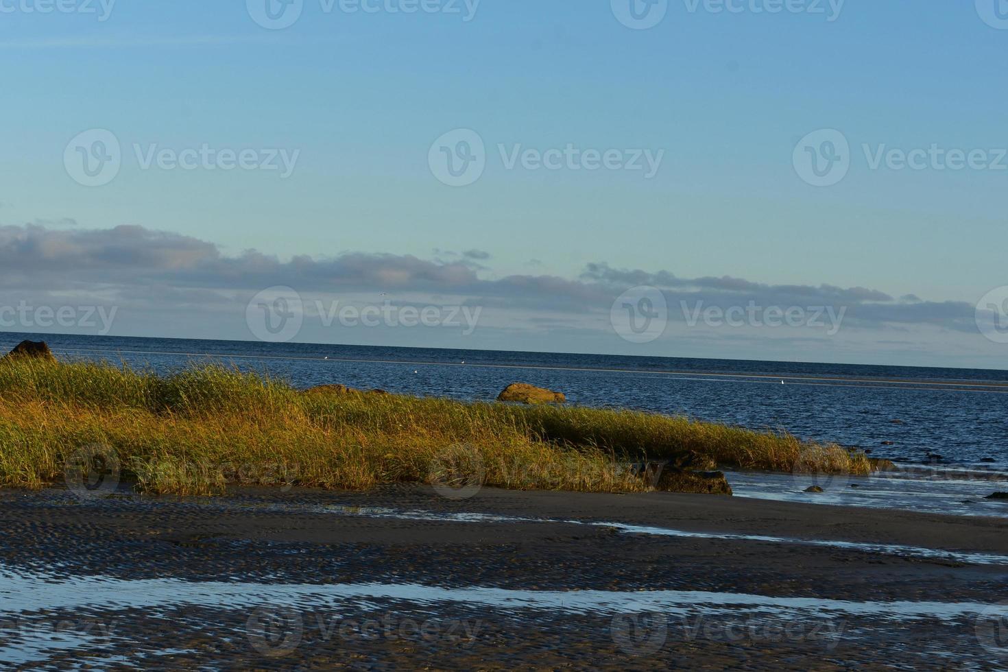 Beautiful landscape with long grass on the coast of the ocean photo