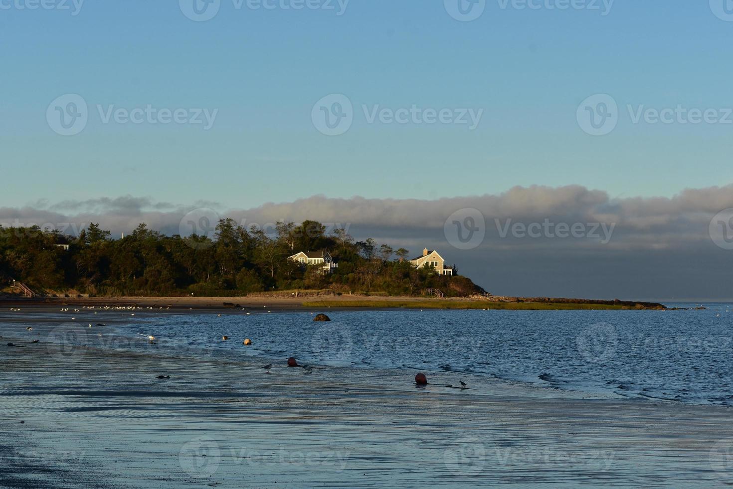 Large rocks and seagulls hanging out on a beach photo
