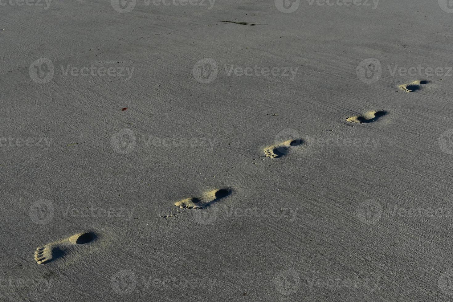 Nice foot prints along the sea shore in Barnstable photo