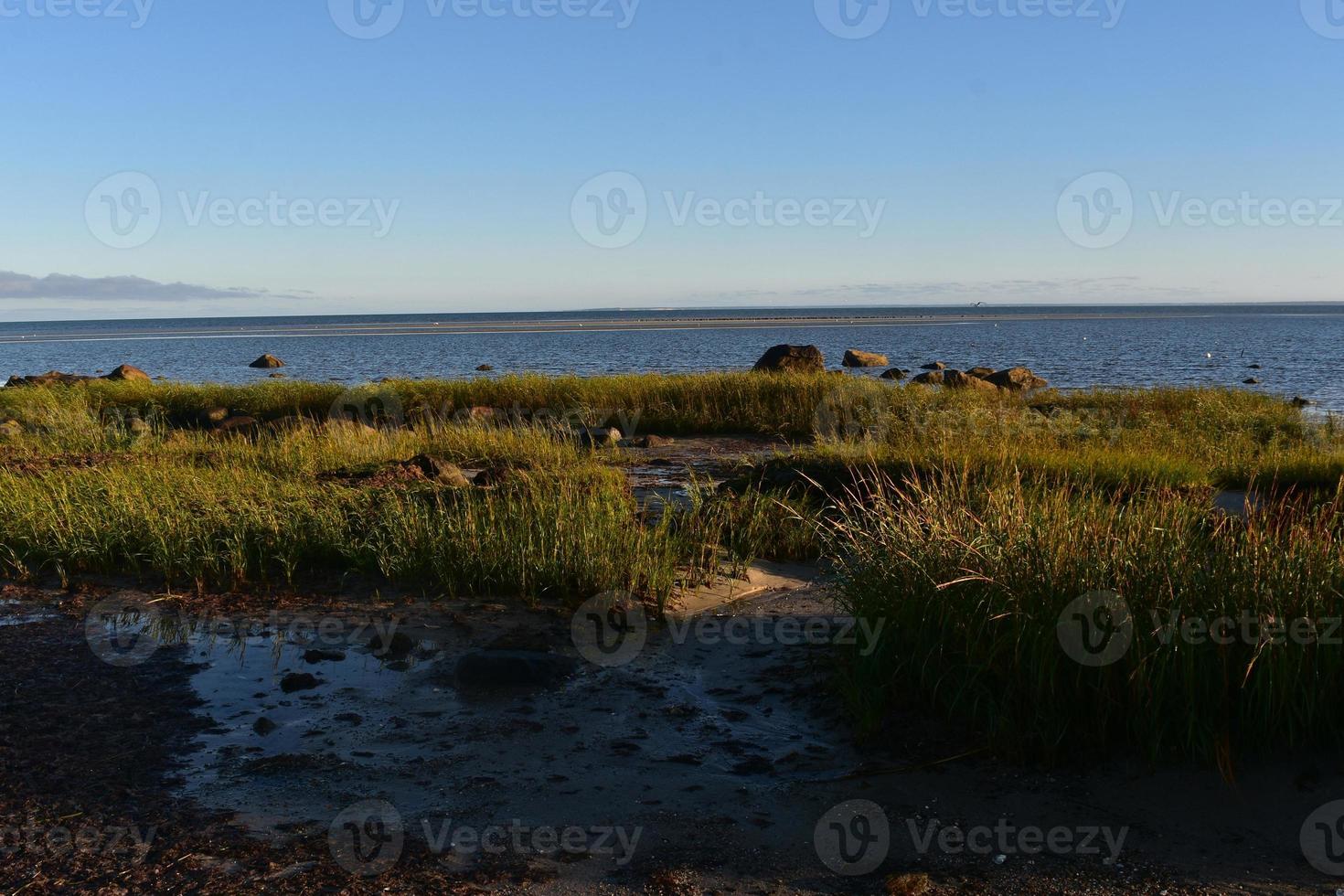 Crowded landscape with rocks and grass on a beach photo