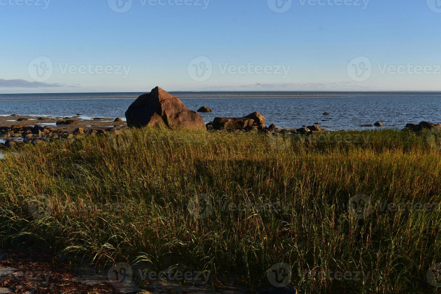 Stunning beach with blue skies and long beach grass photo