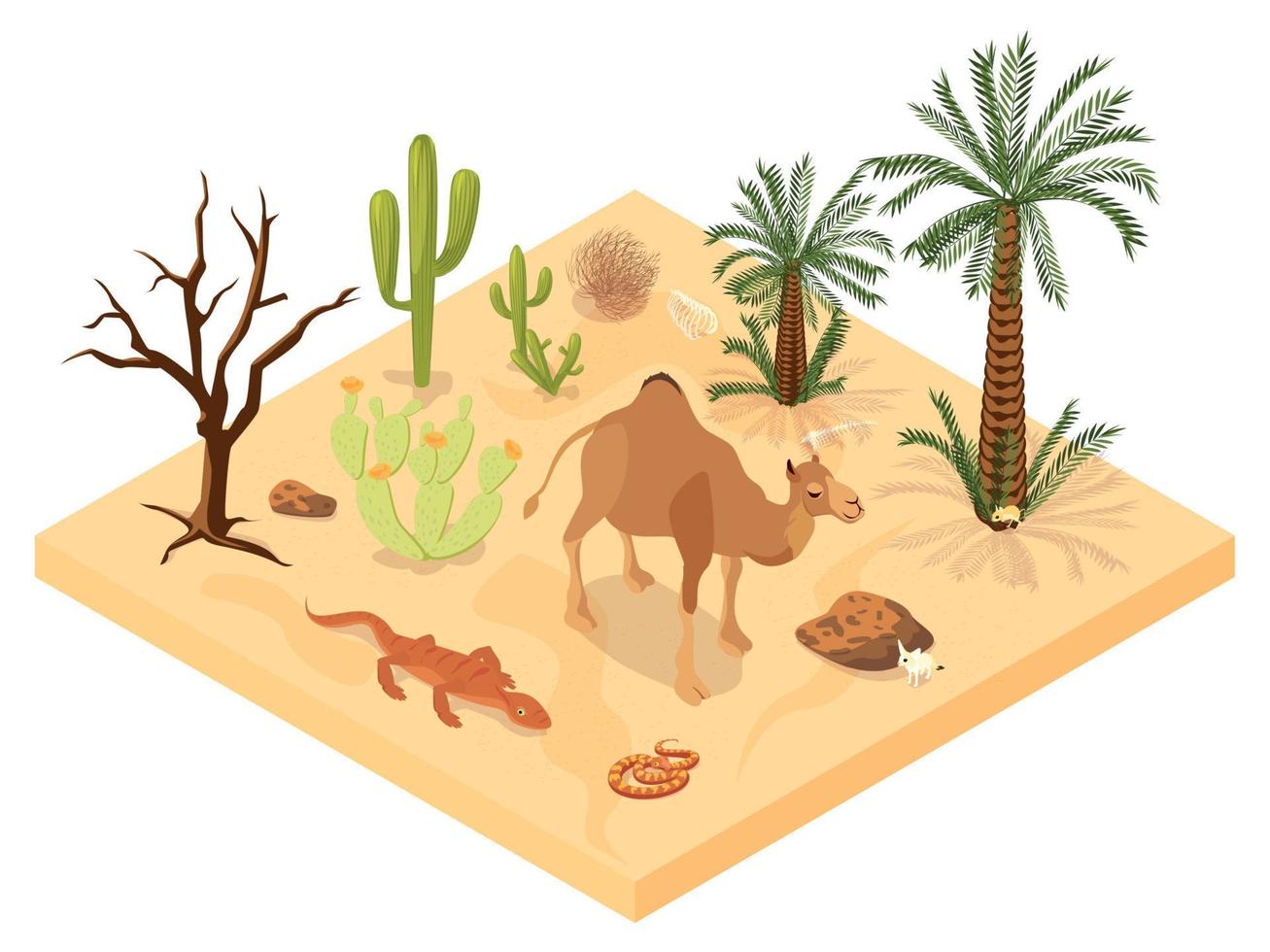 ilustración isométrica del paisaje del desierto vector