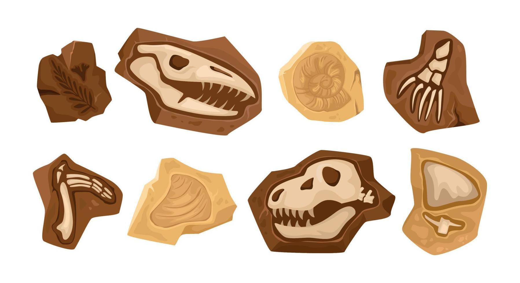 Dinosaur Skeleton Fossils Set vector