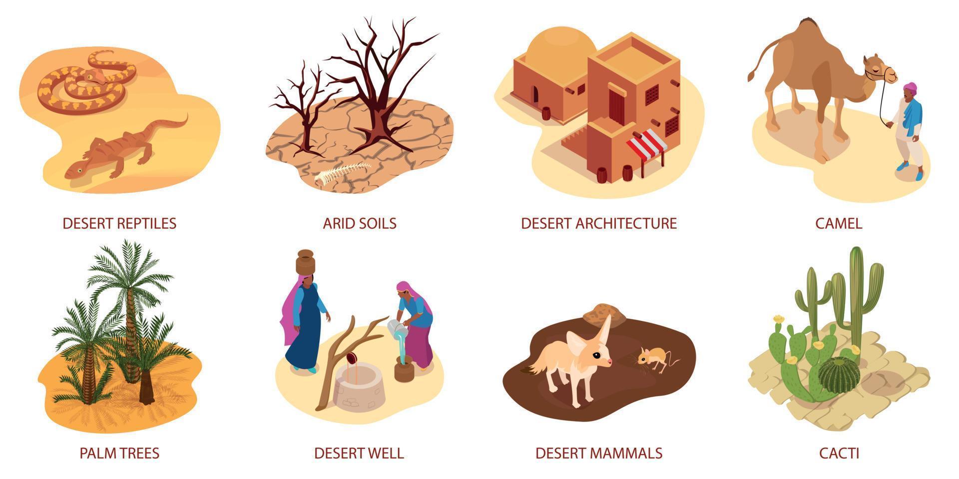 composiciones isométricas del desierto vector