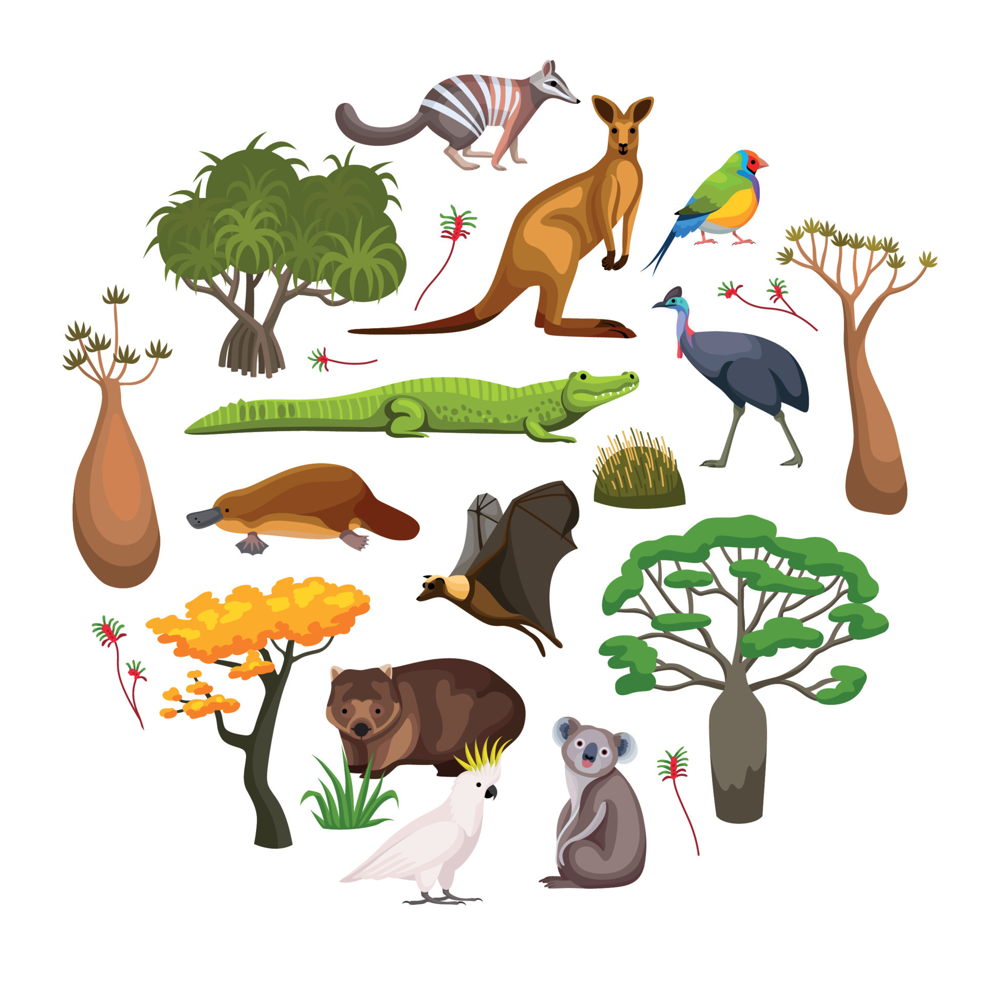 Australia Flora Fauna Composition 12696994 Vector Art at Vecteezy